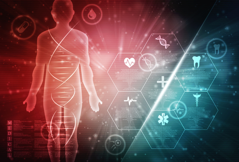 metabolic-flexibility